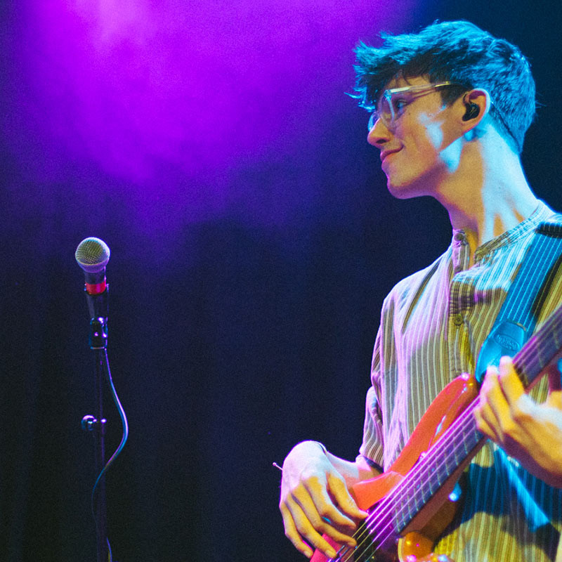 hippo campus