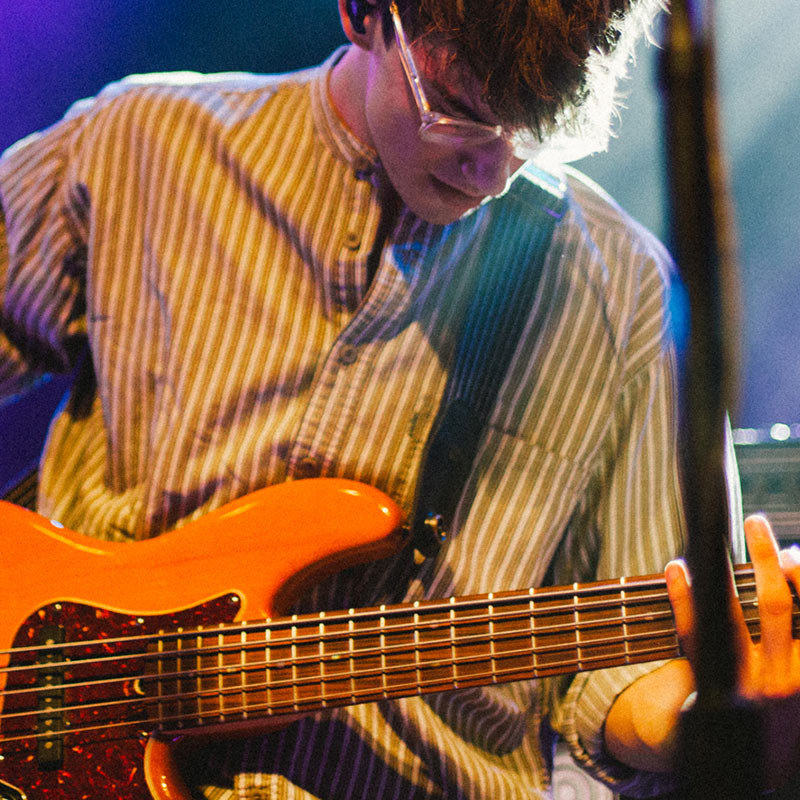 hippo campus