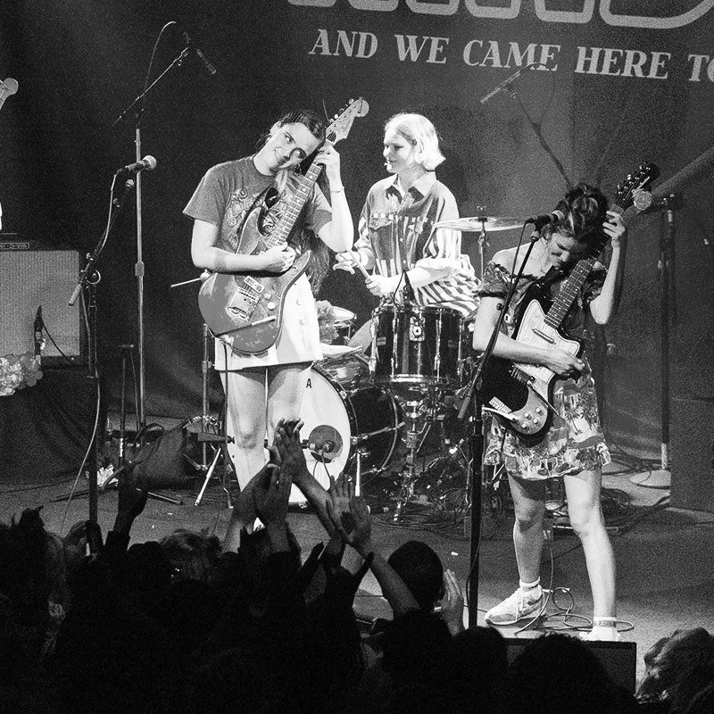 Hinds