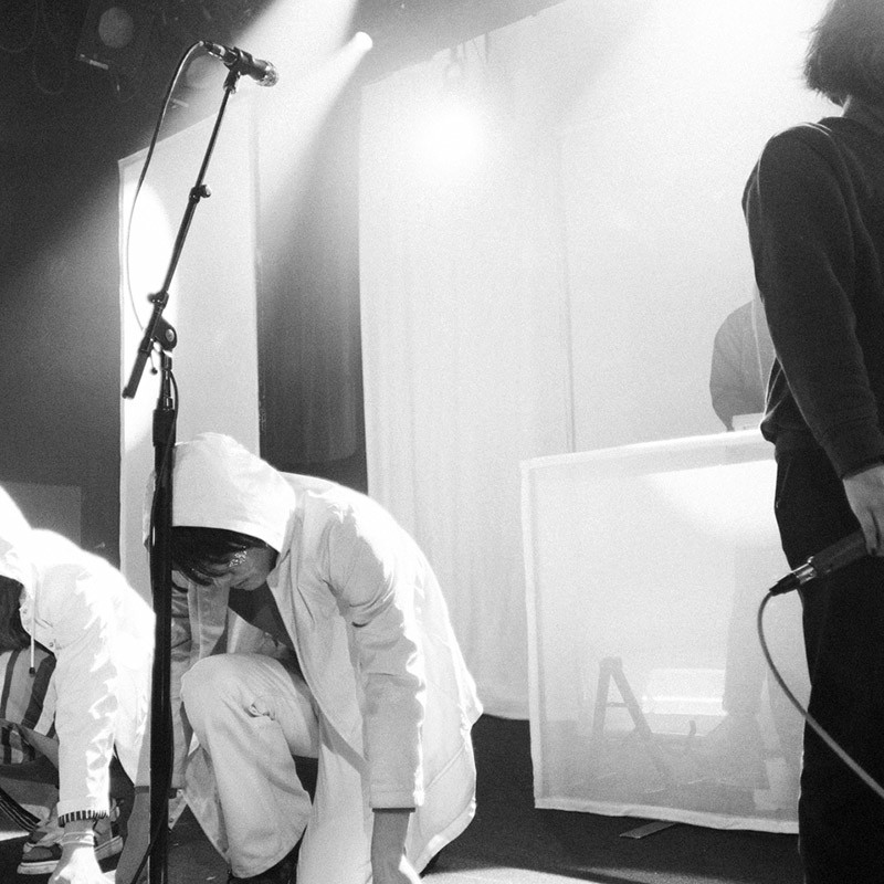 Superorganism
