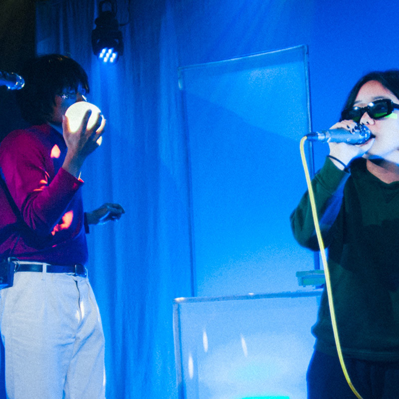 Superorganism
