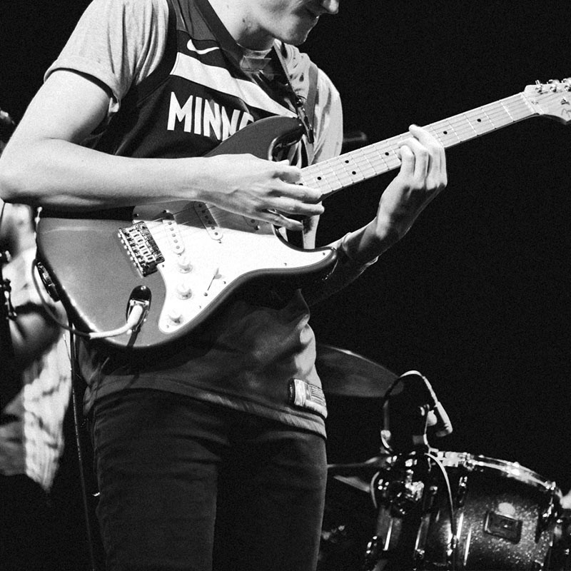 hippo campus
